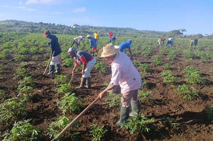 0 07 dia campesino 1