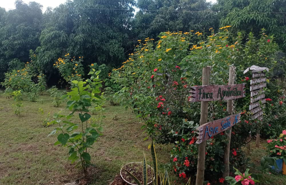 0107 agua santa agroecologia2