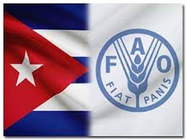 Contribuye la FAO al desarrollo forestal cubano Contribuye la FAO al desarrollo forestal cubano