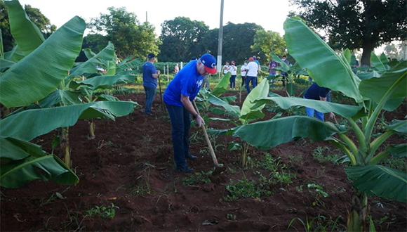 Temprano en la mañana de este domingo, el trabajo voluntario es parte de las actividades por el próximo 26 de julio. Foto: Estudios Revolución. Temprano en la mañana de este domingo, el trabajo voluntario es parte de las actividades por el próximo 26 de julio. Foto: Estudios Revolución.