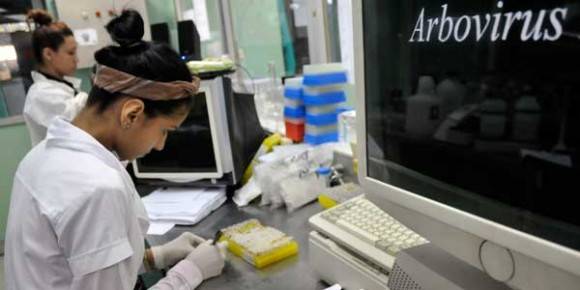 Investigadoras del laboratorio de arbovirus del IPK ahondan en el estudio de las cepas cubanas aisladas durante las epidemias de dengue en busca de nuevas respuestas. Foto Leyva Benítez/ Bohemia. Investigadoras del laboratorio de arbovirus del IPK ahondan en el estudio de las cepas cubanas aisladas durante las epidemias de dengue en busca de nuevas respuestas. Foto Leyva Benítez/ Bohemia.