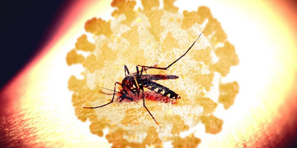 Como resultado de la presión sobre los sistemas sanitarios, la pandemia impactó los programas de contención de las arbovirosis. Hubo una alta acumulación de susceptibles para dengue en 2020 y 2021, lo cual crea riesgo de epidemia de la enfermedad para los años venideros. Foto: Última Hora Ecuador Como resultado de la presión sobre los sistemas sanitarios, la pandemia impactó los programas de contención de las arbovirosis. Hubo una alta acumulación de susceptibles para dengue en 2020 y 2021, lo cual crea riesgo de epidemia de la enfermedad para los años venideros. Foto: Última Hora Ecuador