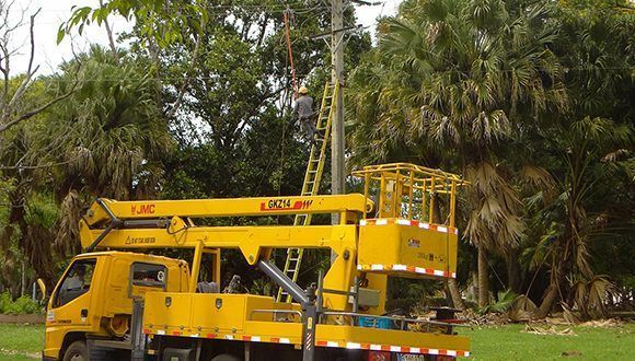 Labores de recogida de árboles caídos, poda e higienización en la Universidad. Foto: UCI