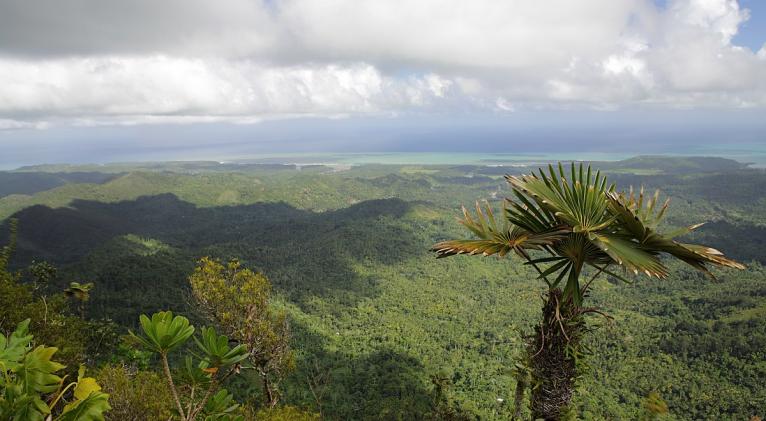 Paraísos naturales 