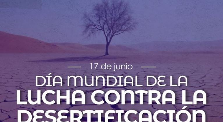 luchadesertificacion