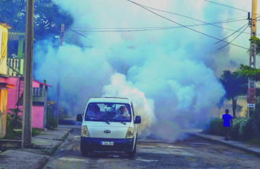 Acciones sanitarias ante arbovirosis