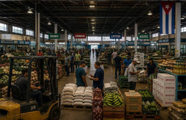 Detallan características de nuevos mercados de abasto