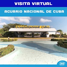 Visita Virtual Acuario Nacional de Cuba